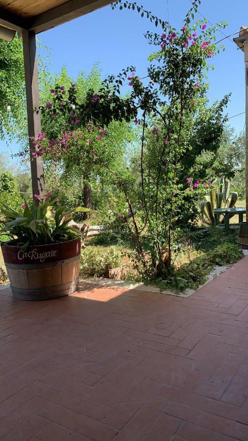 Signor Cesare Agrobistrot B&B San Giovanni Rotondo Extérieur photo